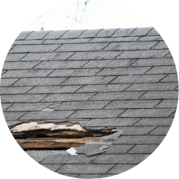 Emergency roof leak repair and storm damage services in Fresno